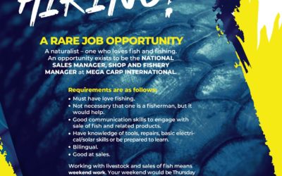 WE ARE HIRING